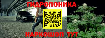 a pvp Чапаевск