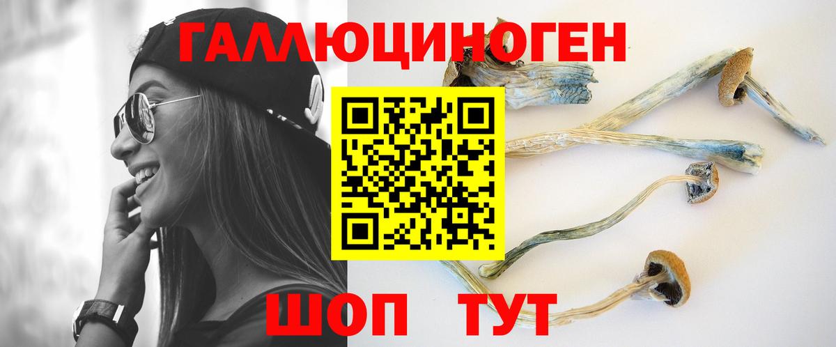 Псилоцибиновые грибы Psilocybe Луга